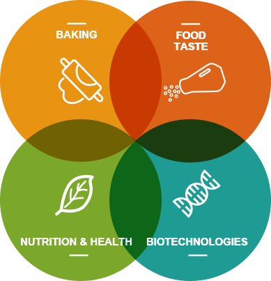 云顶集团4008(中国)官方网站