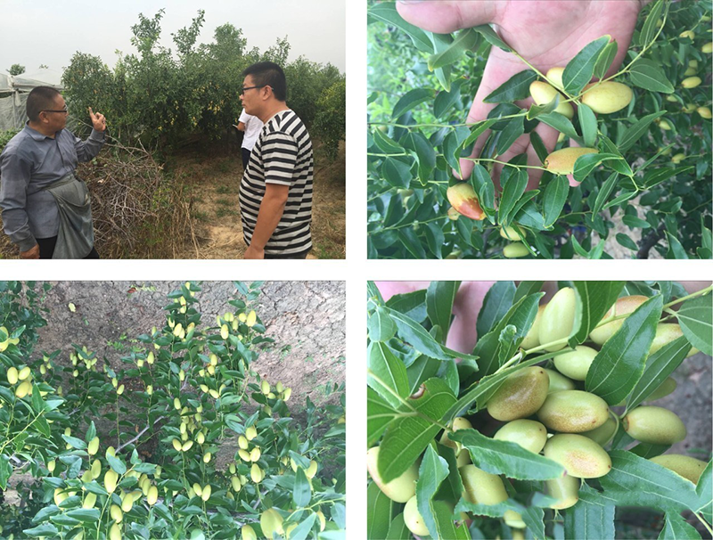 云顶集团4008(中国)官方网站