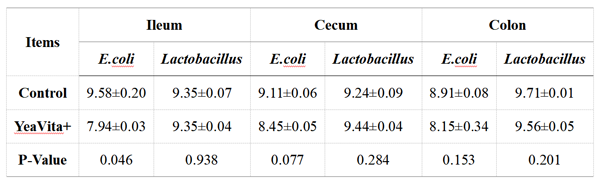 Effects of YeaVita+ on the intestinal microbes of piglets