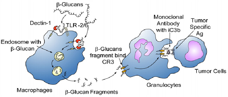 云顶集团4008(中国)官方网站