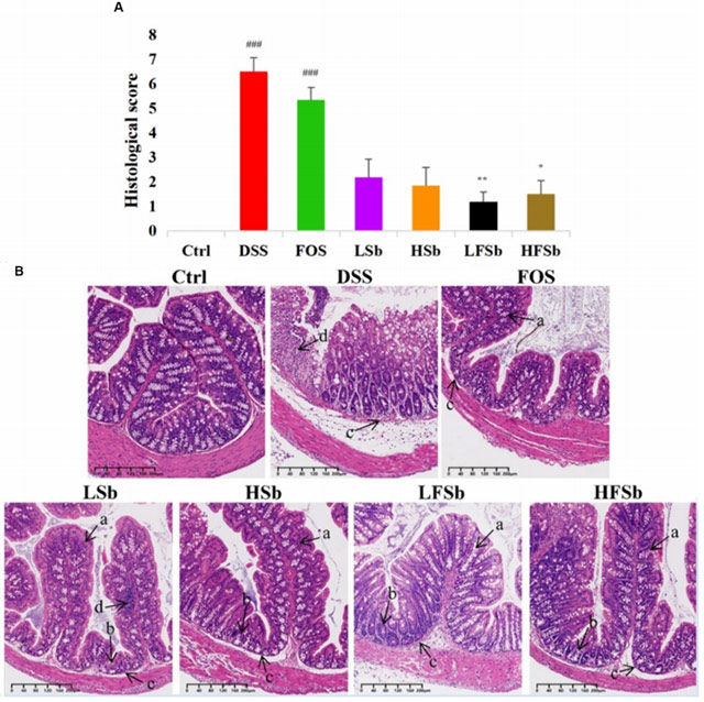 云顶集团4008(中国)官方网站