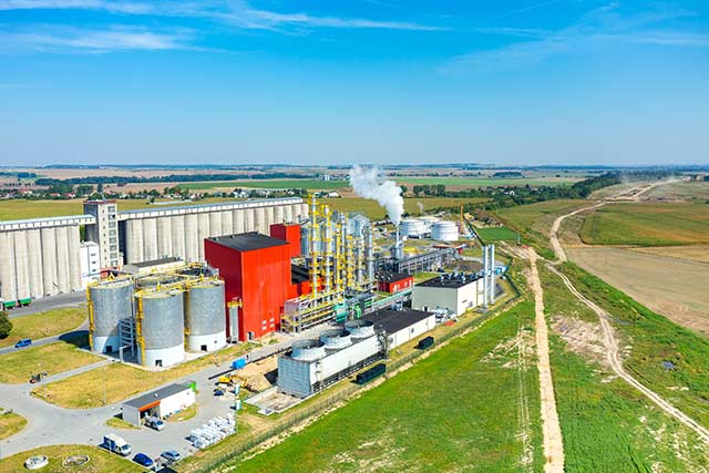 Using Nutrition to Enhance the Alcohol Fermentation Efficiency of Saccharic-Based Raw Materials