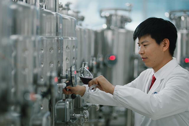 Reducing the Impact of Inhibitors on Bioethanol Production: A New Solution