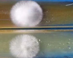 云顶集团4008(中国)官方网站