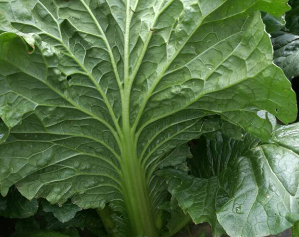 云顶集团4008(中国)官方网站