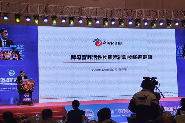 Fubon attends the sixth IAIEH Forum