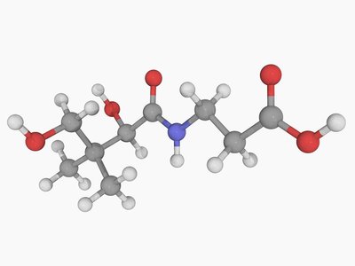 云顶集团4008(中国)官方网站