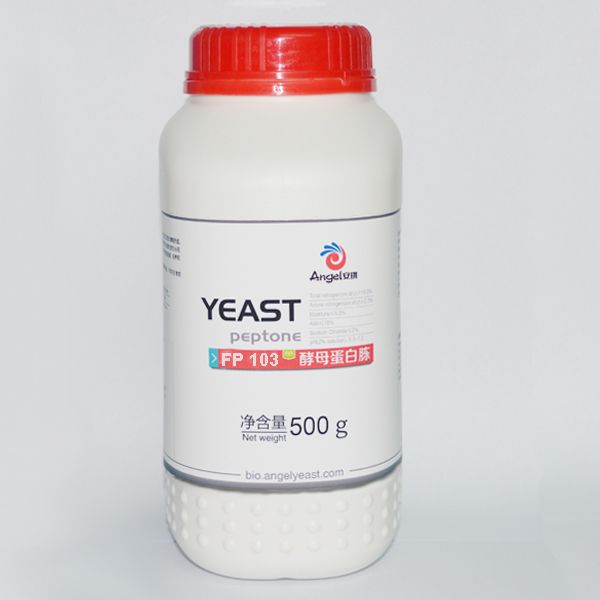 云顶集团4008(中国)官方网站