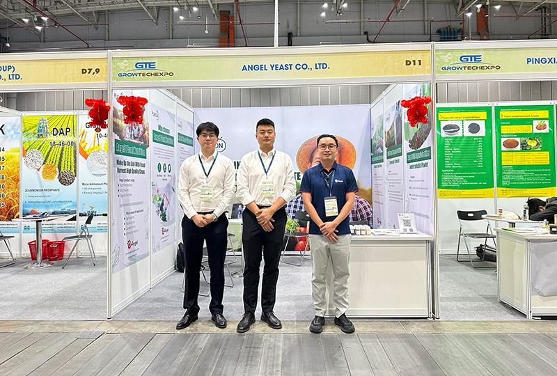 云顶集团4008(中国)官方网站