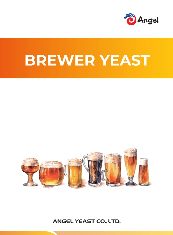 Bier- und Destillationshefe