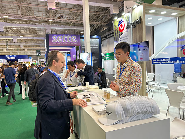 云顶集团4008(中国)官方网站