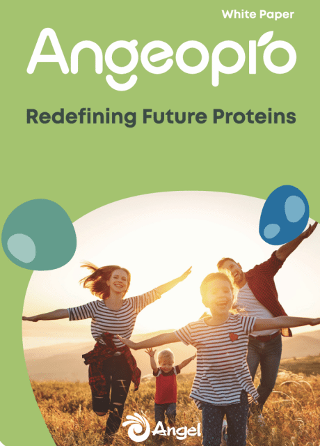 AngeoPro Hefeiwei? Whitepaper