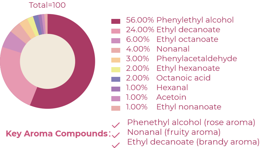 云顶集团4008(中国)官方网站