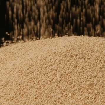 云顶集团4008(中国)官方网站