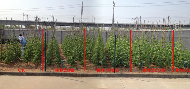 云顶集团4008(中国)官方网站