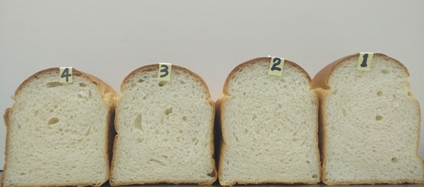 云顶集团4008(中国)官方网站