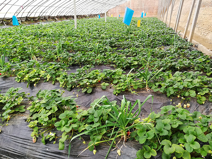 云顶集团4008(中国)官方网站