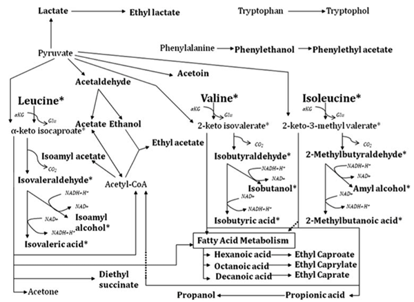 云顶集团4008(中国)官方网站