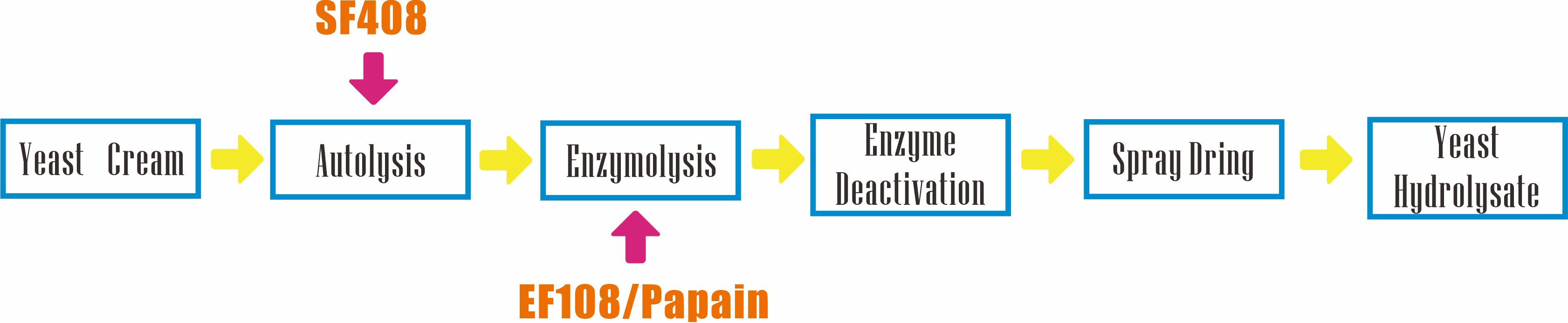 Production processing of yeast hydrolysate with Annzyme? SF408.jpg