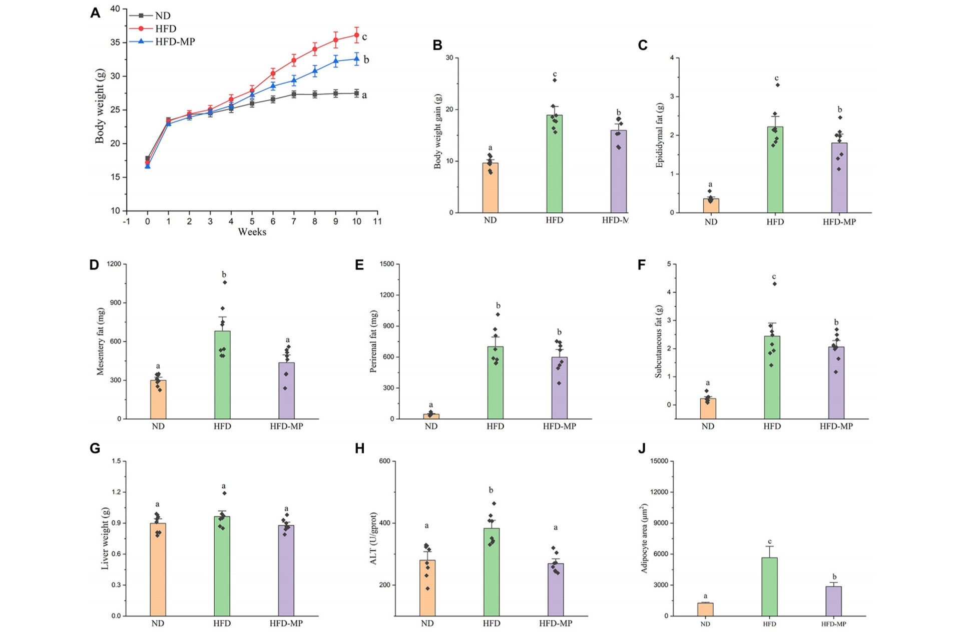 Impact-of-HFD-and-MP-intervention-on-body-features-of-mice.jpg