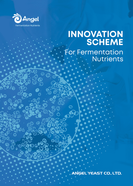 Esquema de innovación para nutrientes de fermentación