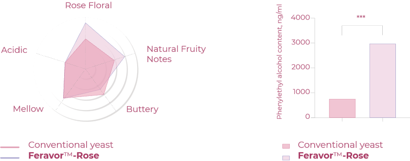 云顶集团4008(中国)官方网站