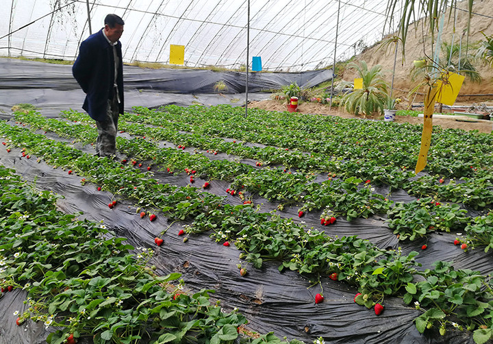 云顶集团4008(中国)官方网站