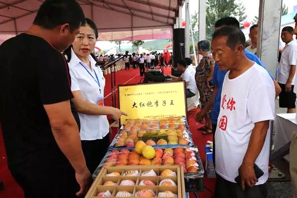 Title: Sugar from 14 to 20: This kind of fruit tastes exciting!