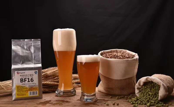 云顶集团4008(中国)官方网站