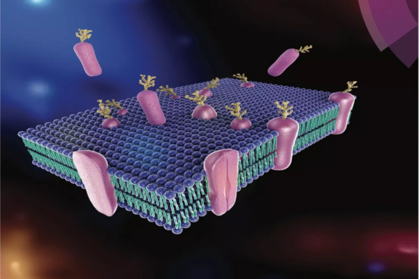 YeaSense is not just an alternative to AGPs