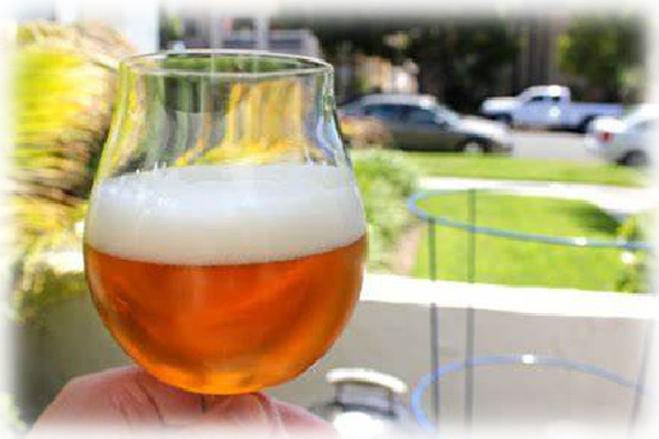 How to Brew Session Saison Using Angel Bright S129?