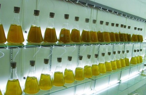 云顶集团4008(中国)官方网站