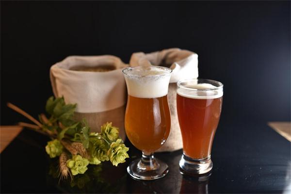 A New Wheat Brewers Yeast WA18 from Angel Yeast