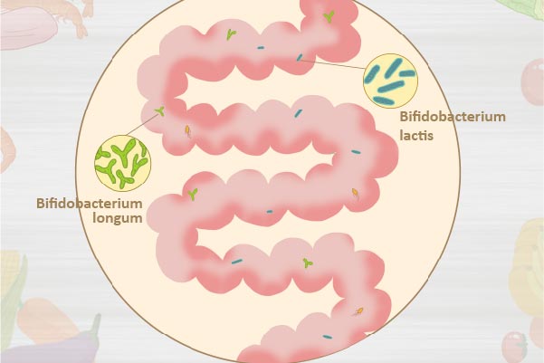 Selection of Nitrogen Source in Cultivation of Lactic Acid Bacteria