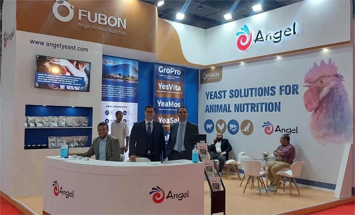 云顶集团4008(中国)官方网站