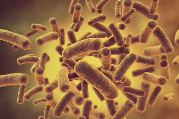 Angel New UF Yeast Extract Provides Long-lasting Nitrogen Supply for Microbial Growth