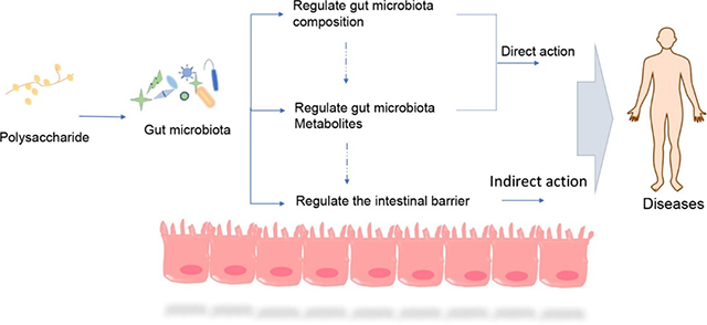 云顶集团4008(中国)官方网站