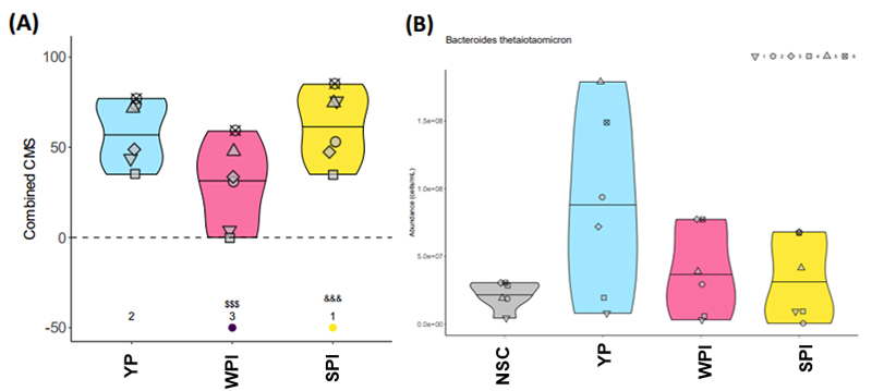 云顶集团4008(中国)官方网站