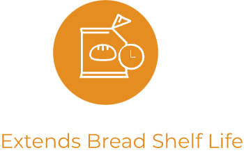 云顶集团4008(中国)官方网站