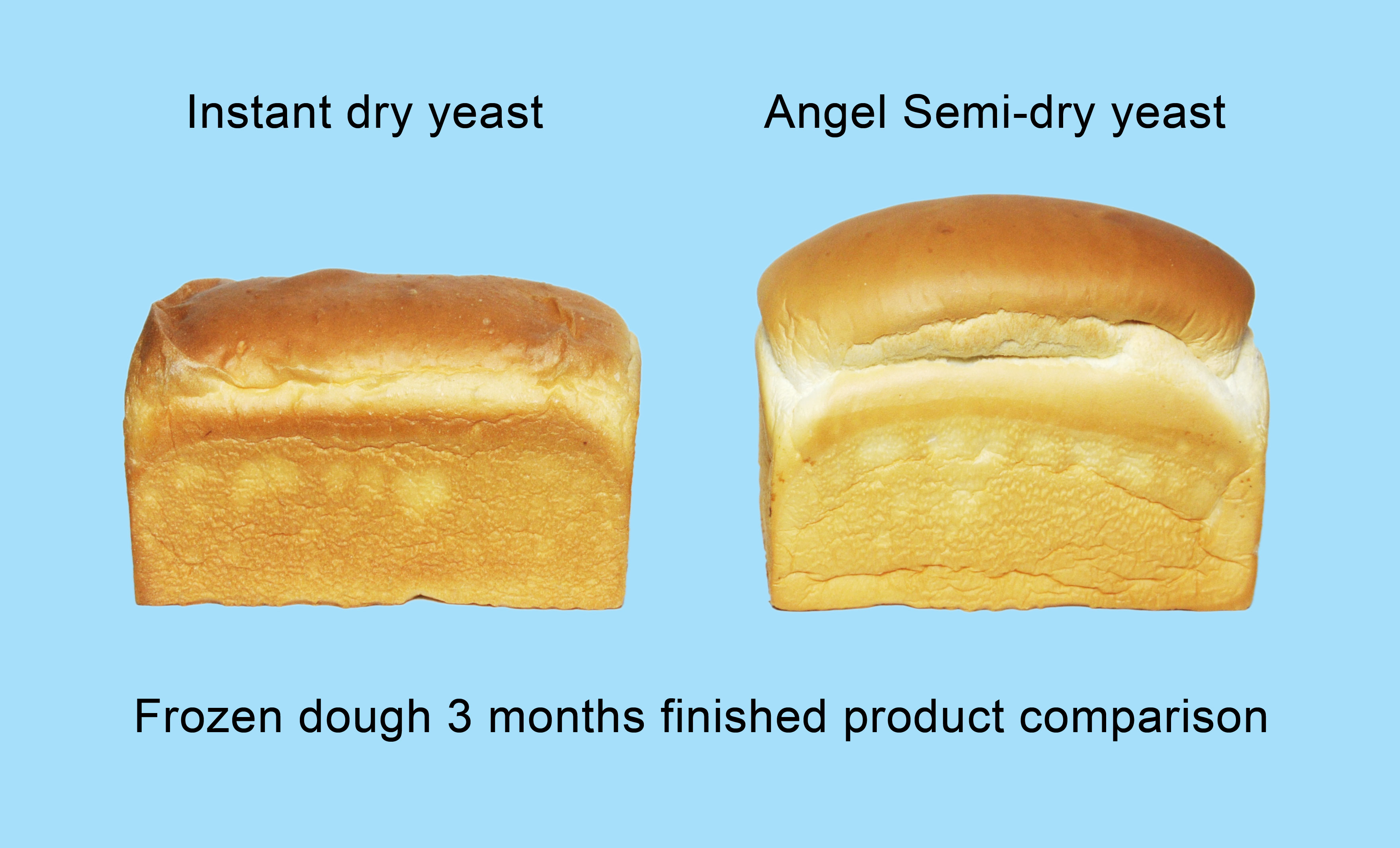 云顶集团4008(中国)官方网站