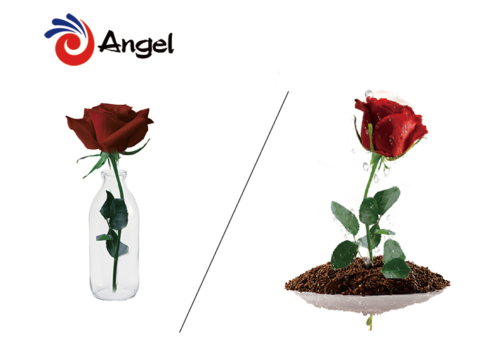 云顶集团4008(中国)官方网站