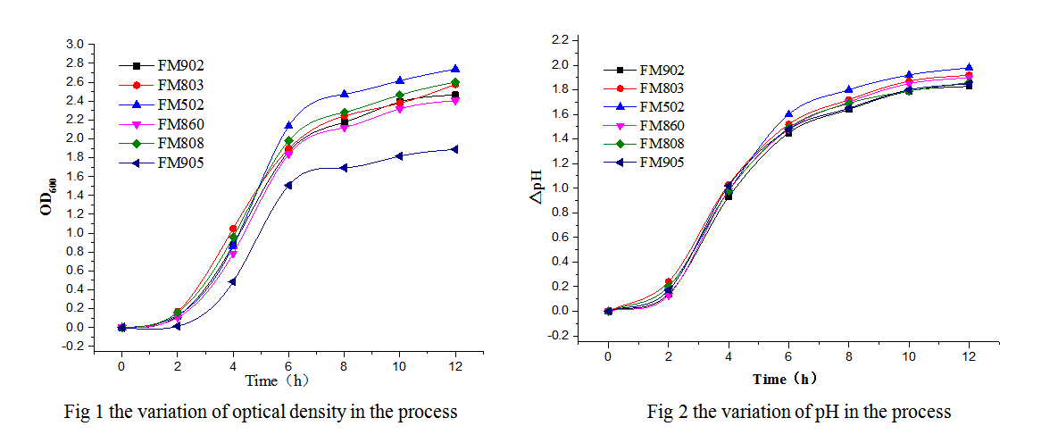 云顶集团4008(中国)官方网站
