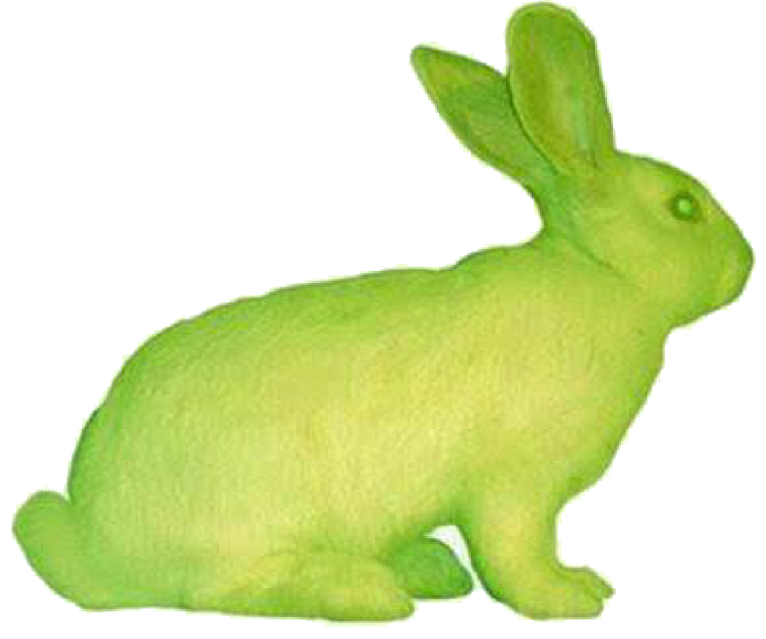 云顶集团4008(中国)官方网站