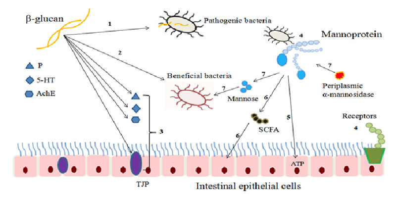 云顶集团4008(中国)官方网站