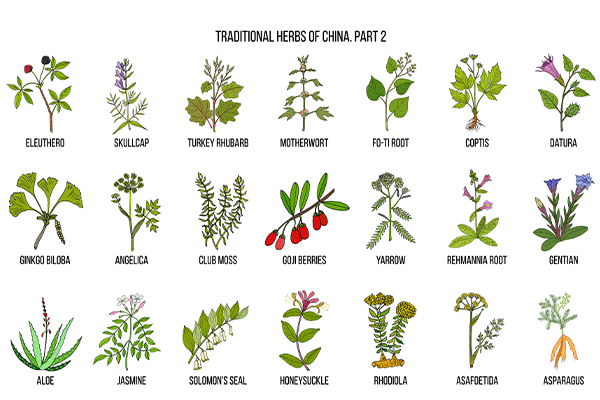 云顶集团4008(中国)官方网站