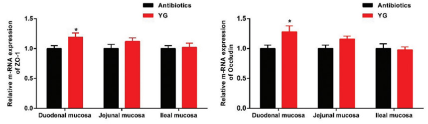 云顶集团4008(中国)官方网站