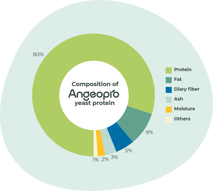 云顶集团4008(中国)官方网站