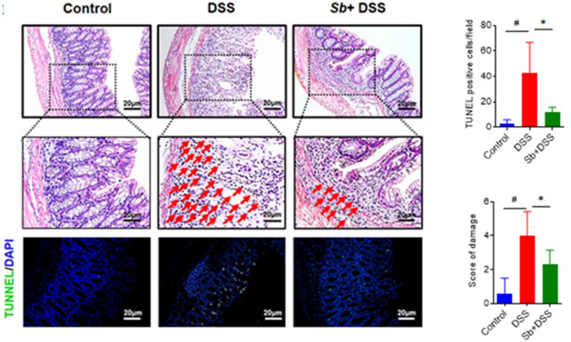 云顶集团4008(中国)官方网站