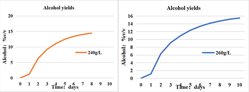 Sugar concentration, 240-260 grams per liter.jpg