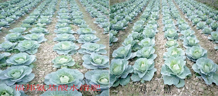 云顶集团4008(中国)官方网站